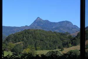 Accommodation Business For Sale Murwillumbah