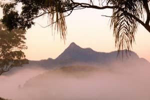 Accommodation Business For Sale Murwillumbah